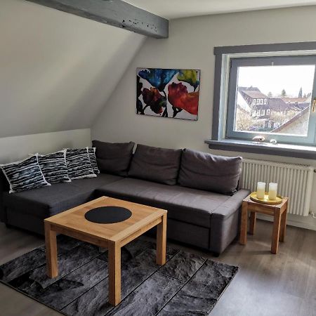 Schoene Ferienwohnung Fuer 6 Personen Erwartet Sie Im Oberharz Sankt Andreasberg Zewnętrze zdjęcie